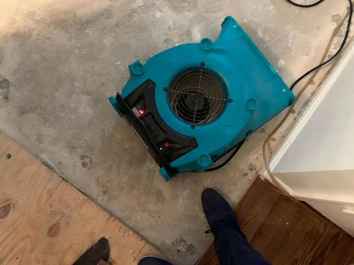 Air mover drying subfloor during Leak Detection & Repair in East Bethel